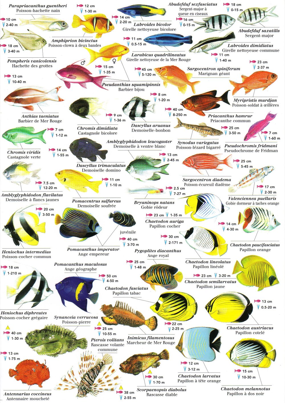 La règle de la pêche en 2016